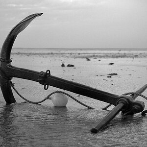 2011 09 16 19 32 02 DSC 3738 bw