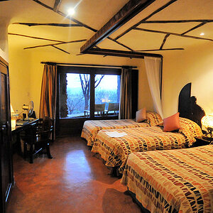 So sehen die Zimmer von innen aus
Serena Serengeti
3956