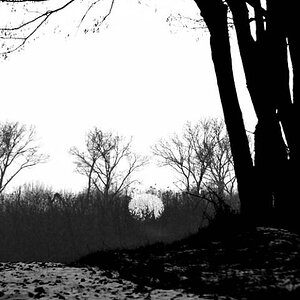 sundown marchfeldSW