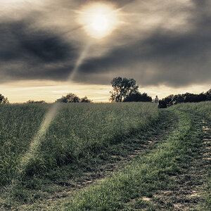 Sunset 2