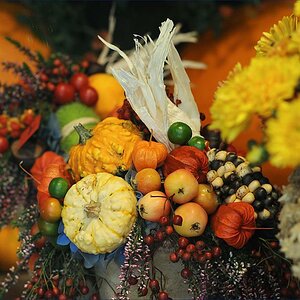 herbstfarben 2W