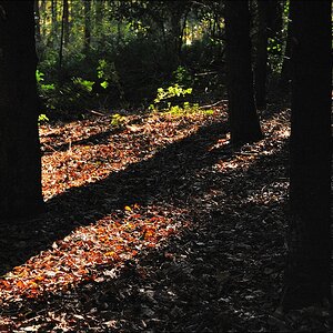 Herbst 10 / 2010