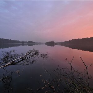 acomp Hasenmoor 20111003 0030