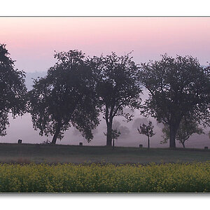 2011 herbst18