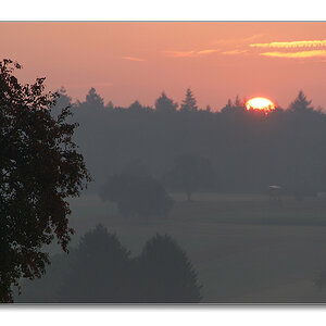 2011 herbst19