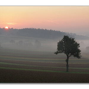 2011 herbst20