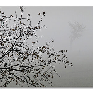 2011 herbst30