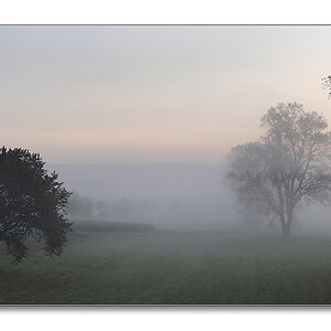 2011 herbst31