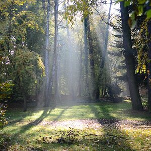 Morgennebel