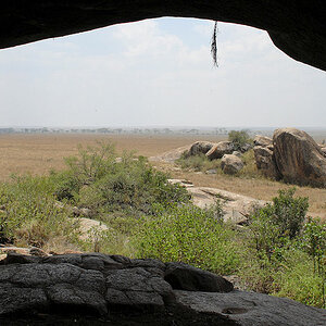 Höhle der Maasai
Moru Kopjes, Serengeti
2212