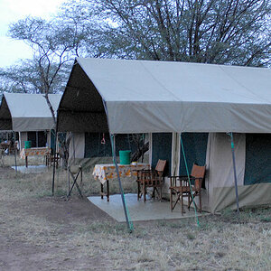 Kati-Kati tented camp
2354