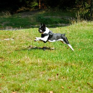 Uuuuuund hopp!
