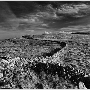 TriangleNFF