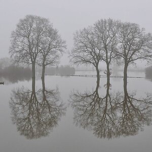 Hochwasser im Nebel