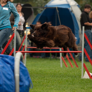 CapeCanisCup0251
