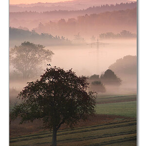 2011 herbst33