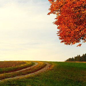 baum 05
