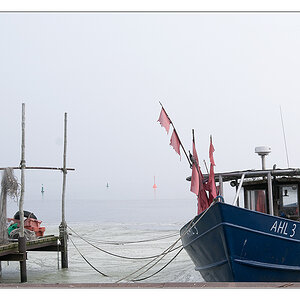 Bucht bei Polen 2