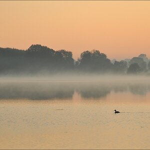 Sonnenaufgang Bossee 03
