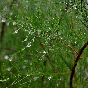 Wassertropfen