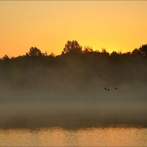 Sonnenaufgang Bossee 05