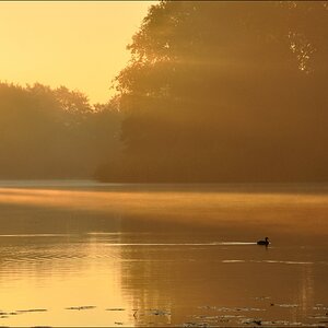Sonnenaufgang Bossee 06