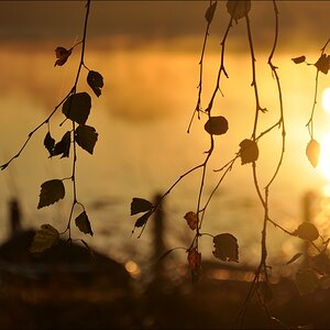 Sonnenaufgang Bossee 09