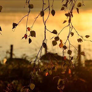 Sonnenaufgang Bossee 10