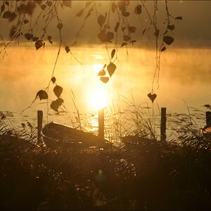 Sonnenaufgang Bossee 11