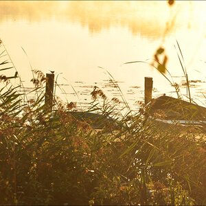 Sonnenaufgang Bossee 12
