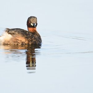 20110704 4174 [NIKON D7000] 850 mm,1 125 Sek. bei ƒ   6,3