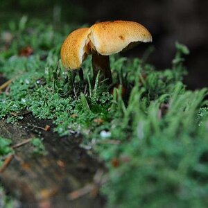 DSC 5034a