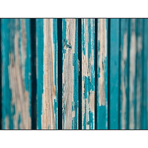 old door