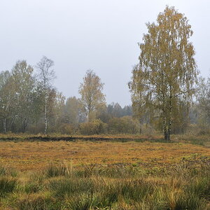2011103114441690