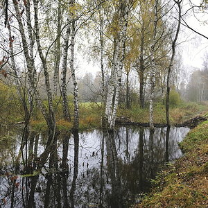 2011103113582450 1
