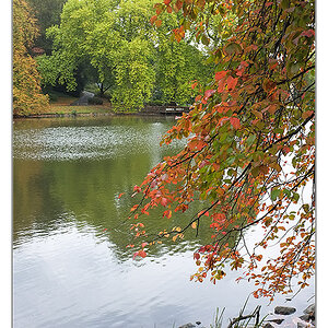 Herbst 2011 Rombergpark 9