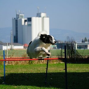 DSC 6611 285