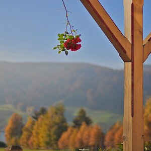 Herbst 2011 3