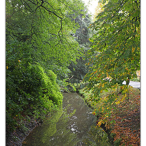 Herbst 2011 Rombergpark 10