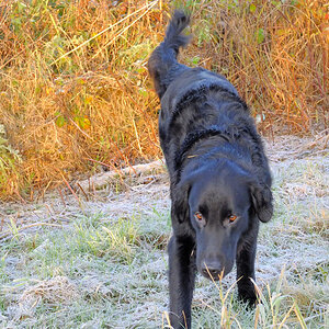 DSCF1130 hell  nikon  h