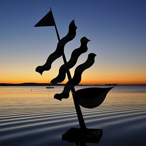 Steinhuder Meer 01