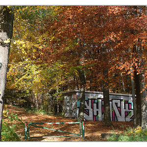 Graffitti
