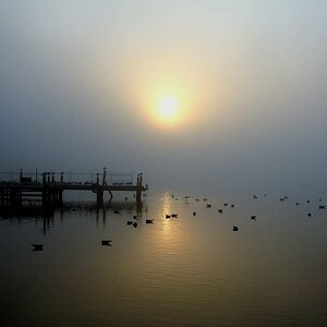 Steinhude Sonnenuntergang Nebel 11