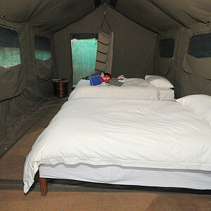 Innenansicht Zelt Nr. 5 im Musanza Camp
6827