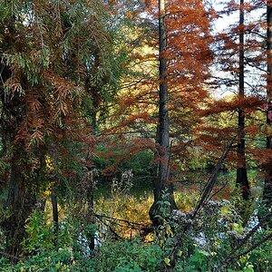 Flusslandschaft