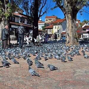 Sarajevo 15.10.2011
