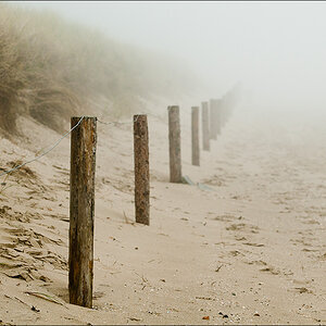 Nebel