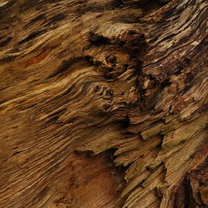 D2X 4306 crop