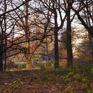 SchlossparkCharlottenburg 0055 111113 1 1024x686 90