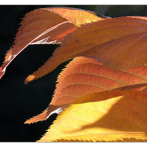 Licht 2